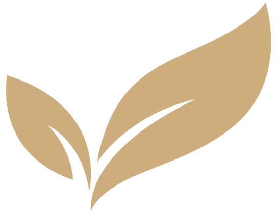 Icono resposabilidad